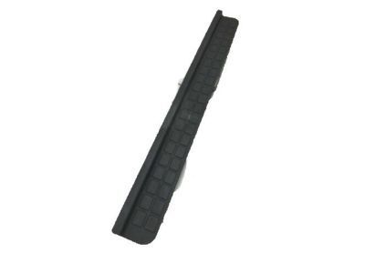 Chevy 10247013 Lower Seal Strip