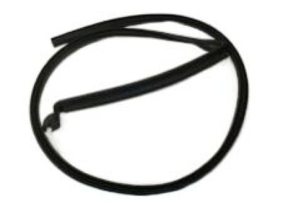 Hummer 15871403 Weatherstrip