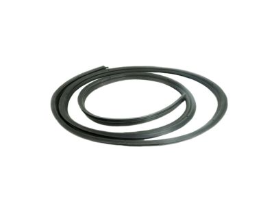 Hummer H2 Weather Strip - 15772338