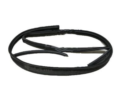 Cadillac 20789462 Drip Weatherstrip