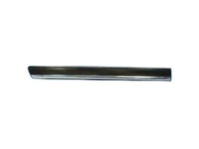 Chevy 15199304 Body Side Molding