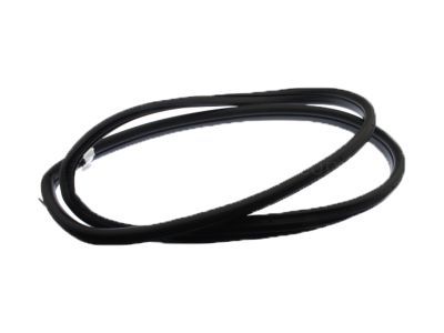 GM 92253114 Weatherstrip,Front Side Door