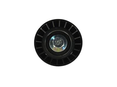 Chevy 25191263 Idler Pulley