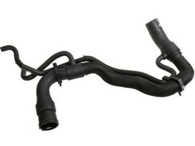 GMC 19258629 Lower Hose