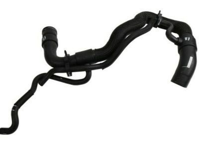 GMC Sierra 3500 HD Radiator Hose - 19258629