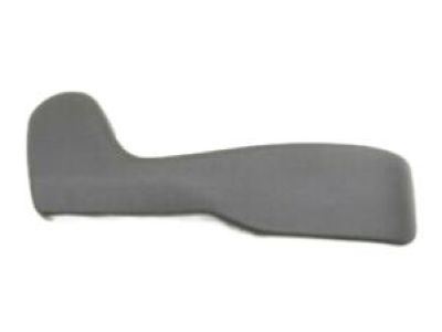 Chevy 15281814 Side Cover