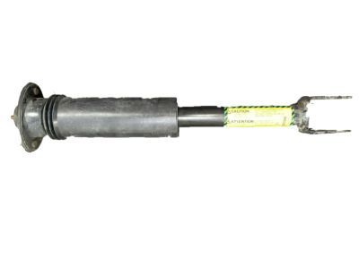 Cadillac 25770612 Shock Absorber