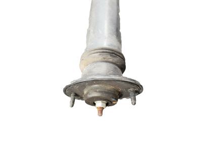 Cadillac 25770612 Shock Absorber