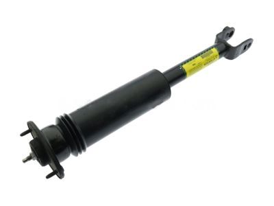 Cadillac 25770612 Shock Absorber