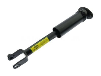 Cadillac 25770612 Shock Absorber