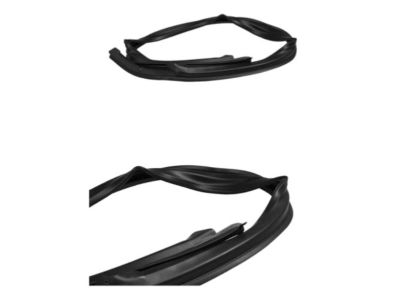 Chevy Captiva Sport Weather Strip - 96624068