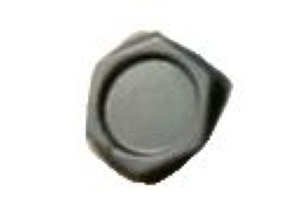 Chevy 10028614 Cover Cap