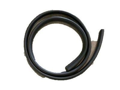 Pontiac Door Seal - 89039906