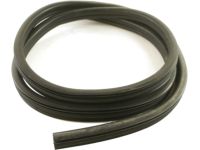 GM 15128084 Weatherstrip,Rear Side Door