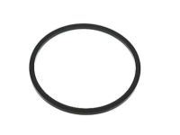 GM 25167743 Seal,Fuel Sender