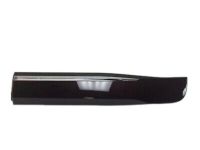 GM 84241760 Molding Assembly, Rear Side Door Lower *Black