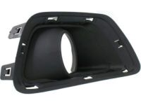 GM 22891700 Bezel, Front Fog Lamp