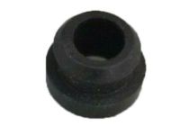 GM 15705446 Grommet, I.A.T.