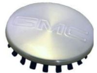 GM 9595384 Hub Cap ASSEMBLY