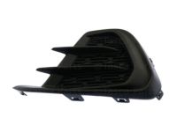 GM 95238851 Cover, Front Fog Lamp Opening