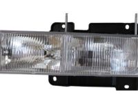 GM 15034929 Capsule/Headlamp/Fog Lamp Headlamp