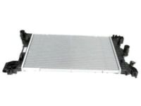 GM 95298551 Radiator Assembly