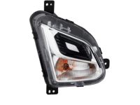 GM 84226246 Signal Lamp Assembly, Front Passenger Side GM 84226246 Signal Lamp Assembly, Front Passenger Side
