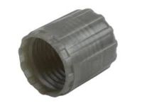 GM 15122620 Cap,Tire Pressure Indicator Sensor