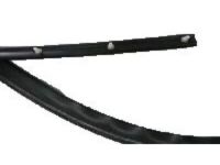 GM 22614341 Weatherstrip On Body, Driver Side GM 22614341 Weatherstrip On Body, Driver Side