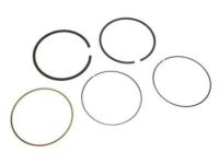 GM 89018049 Ring Kit,Piston (Std)