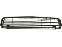 GM 88975656 Grille,Radiator Lower *Black