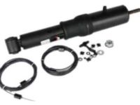 GM 19258496 Shock Absorber