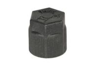 GM 88957402 Cap,A/C Refrigerant Service Valve (Liquid)