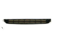 GM 20982391 Grille,Front Lower