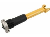 GM 23202881 Rear Shock Absorber Assembly