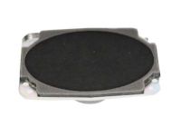 GM 15173233 Speaker Assembly, Radio Rear