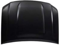 GM 84333027 Hood Assembly, .