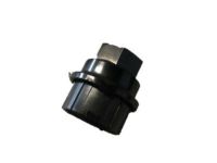 GM 9595120 Decorative/Functional Nut Cap, Wheel (Hexagon H*Black