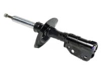 GM 19300024 Front Suspension Strut Kit