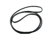 GM 23282071 Weatherstrip Assembly, Front Side Door (Door Side)