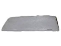 GM 92232022 Protector, Rocker Panel Rear Molding