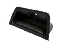 GM 15952900 Handle Assembly, Lift Gate Inside Pull *Ebony