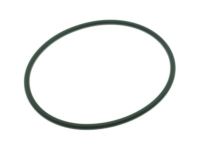 GM 22682111 Seal,Fuel Pump (O Ring)