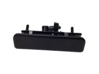 GM 12381253 Handle, Outside GM 12381253 Handle, Outside
