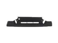 GM 10372929 Pad,Rear Bumper Step Center