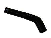 GM 19130608 Radiator Outlet Hose (Lower)