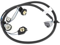 GM 16531401 Harness Asm,Tail Lamp Wiring (L.H.)