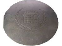 GM 3543662 Center Cap GM 3543662 Center Cap