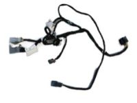 GM 22789019 Harness Pkg, Side Door Wiring