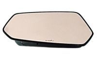 GM 92235872 Mirror, Outside Rear View (Reflector Glass & Backing Plate)